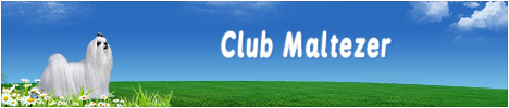 clubmaltezer banner