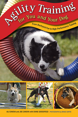 agility training for you and your dog canova canova goodspeed curtis 2008