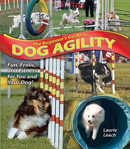 the beginners guide to dog agility leach 2006