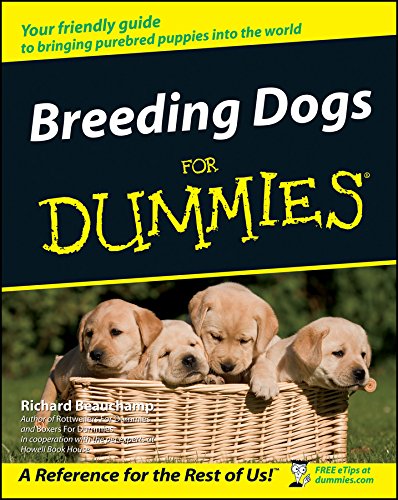 breeding dogs for dummies beauchamp 2002