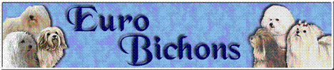 eurobichons_banner