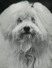 Harlingen Lily and a head study