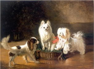 maltese Johann Wegener Toy spaniel a pomeranian and a maltese by a basket 1855