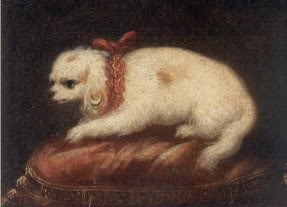 Maltese 17th century