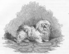 maltese Maltese Psyche 1867